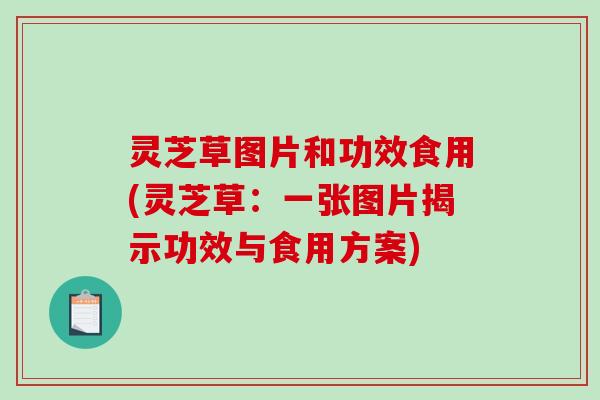 灵芝草图片和功效食用(灵芝草:一张图片揭示功效与食用方案) 灵芝草图片和功效食用(灵芝草:一张图片揭示功效与食用方案)