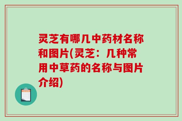 灵芝有哪几中药材名称和图片(灵芝：几种常用中草药的名称与图片介绍)