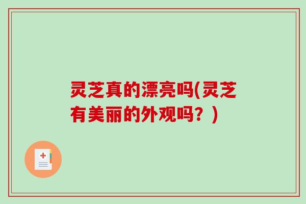 灵芝真的漂亮吗(灵芝有美丽的外观吗？)