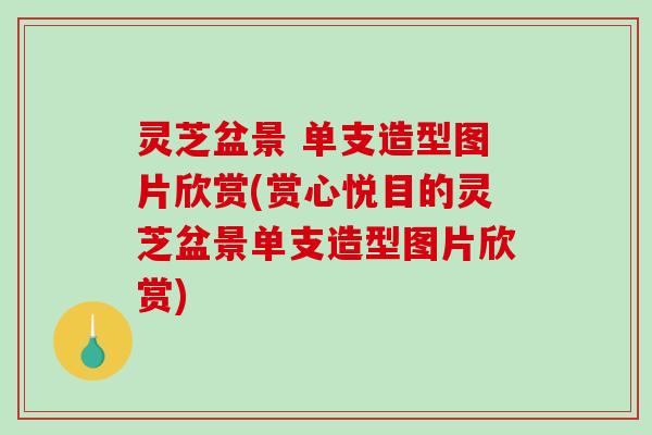 灵芝盆景 单支造型图片欣赏(赏心悦目的灵芝盆景单支造型图片欣赏)