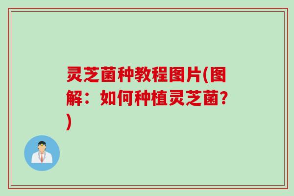 灵芝菌种教程图片(图解：如何种植灵芝菌？)