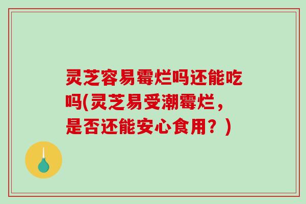 灵芝容易霉烂吗还能吃吗(灵芝易受潮霉烂,是否还能安心食用?) 灵芝容易霉烂吗还能吃吗(灵芝易受潮霉烂,是否还能安心食用?)