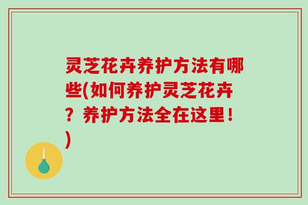灵芝花卉养护方法有哪些(如何养护灵芝花卉？养护方法全在这里！)