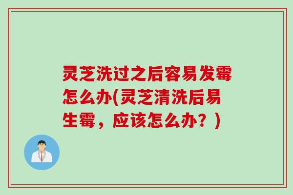 灵芝洗过之后容易发霉怎么办(灵芝清洗后易生霉,应该怎么办?) 灵芝洗过之后容易发霉怎么办(灵芝清洗后易生霉,应该怎么办?)