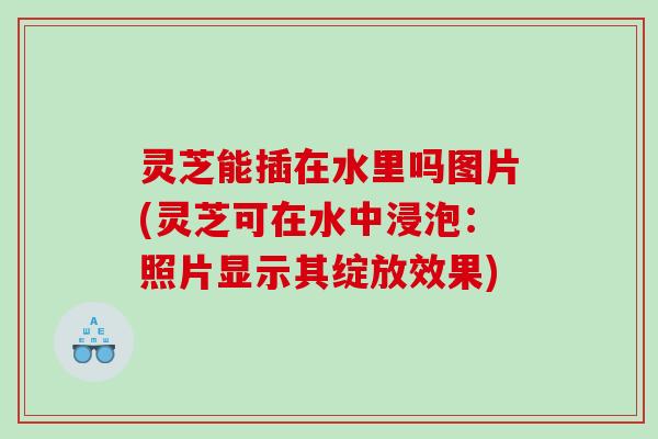 灵芝能插在水里吗图片(灵芝可在水中浸泡：照片显示其绽放效果)