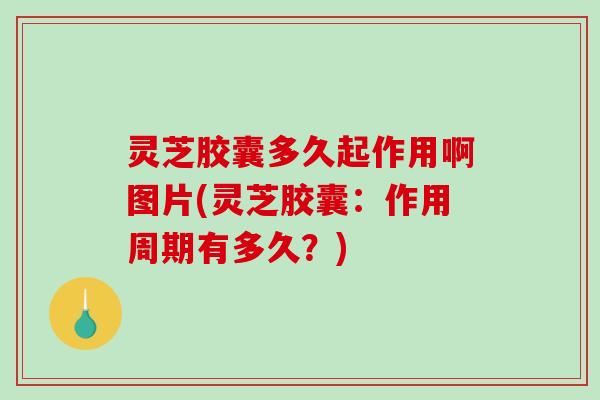 灵芝胶囊多久起作用啊图片(灵芝胶囊：作用周期有多久？)