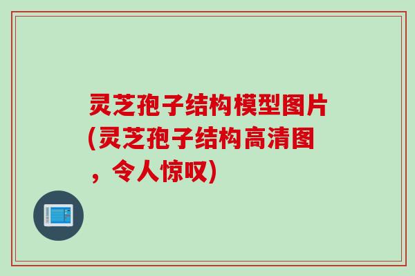 灵芝孢子结构模型图片(灵芝孢子结构高清图，令人惊叹)