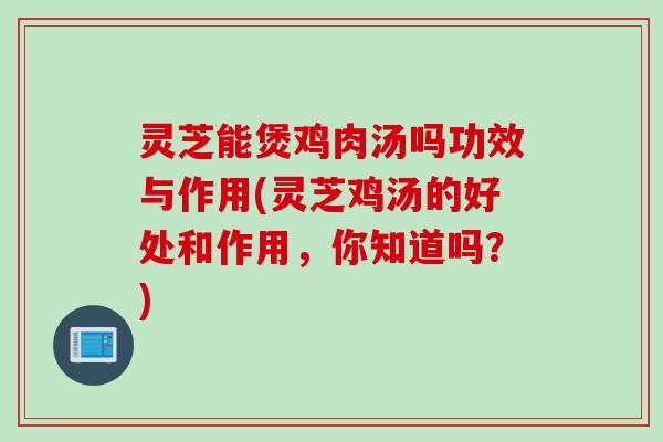 灵芝能煲鸡肉汤吗功效与作用(灵芝鸡汤的好处和作用，你知道吗？)