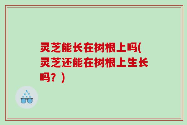 灵芝能长在树根上吗(灵芝还能在树根上生长吗？)