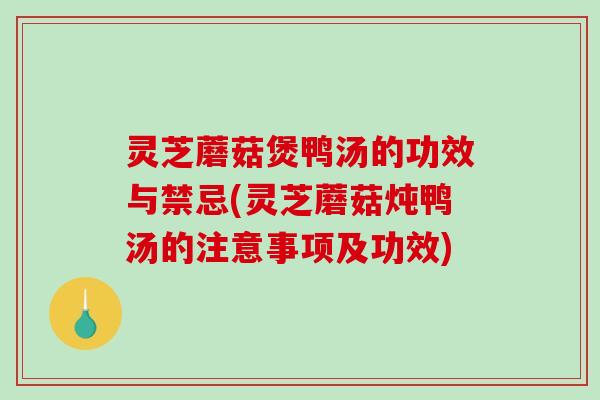 灵芝蘑菇煲鸭汤的功效与禁忌(灵芝蘑菇炖鸭汤的注意事项及功效)
