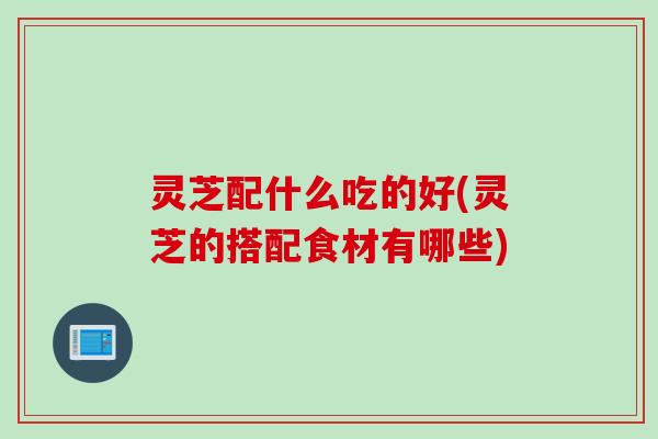 灵芝配什么吃的好(灵芝的搭配食材有哪些)