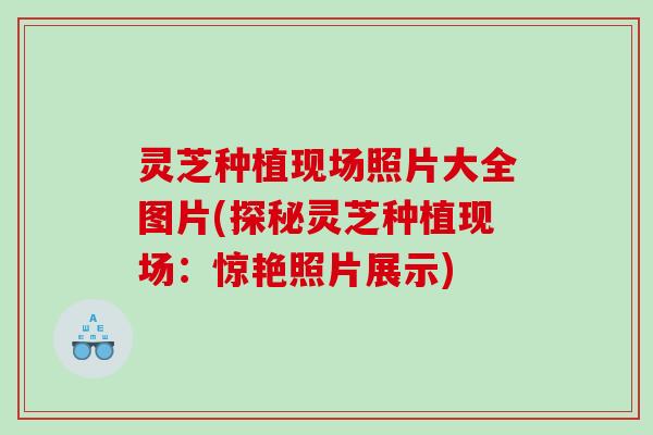灵芝种植现场照片大全图片(探秘灵芝种植现场：惊艳照片展示)