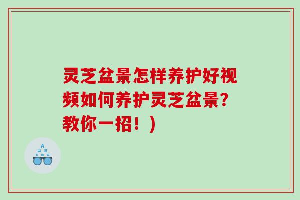 灵芝盆景怎样养护好视频如何养护灵芝盆景？教你一招！)