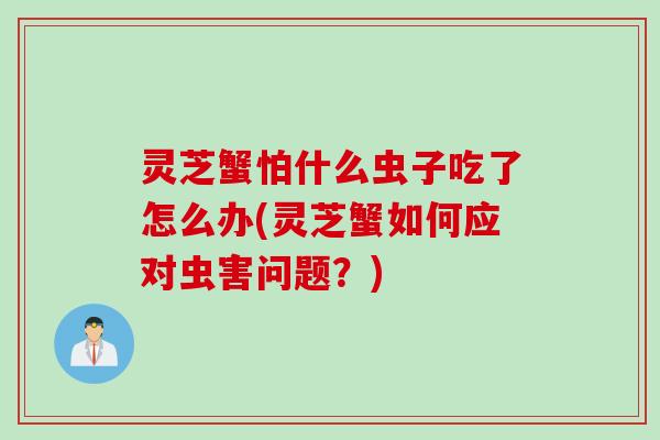 灵芝蟹怕什么虫子吃了怎么办(灵芝蟹如何应对虫害问题？)