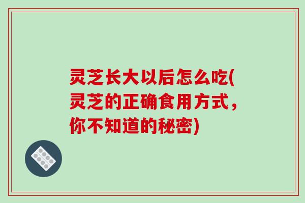 灵芝长大以后怎么吃(灵芝的正确食用方式，你不知道的秘密)