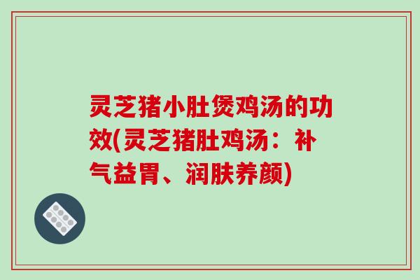 灵芝猪小肚煲鸡汤的功效(灵芝猪肚鸡汤：补气益胃、润肤养颜)