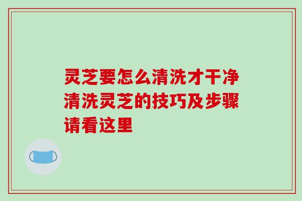 灵芝要怎么清洗才干净清洗灵芝的技巧及步骤请看这里