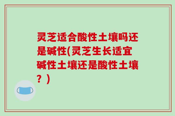 灵芝适合酸性土壤吗还是碱性(灵芝生长适宜碱性土壤还是酸性土壤？)