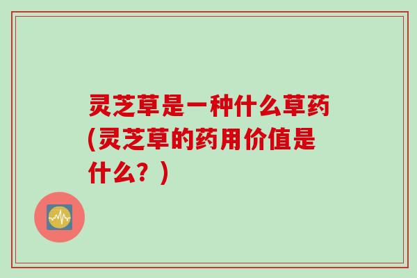 灵芝草是一种什么草药(灵芝草的药用价值是什么？)