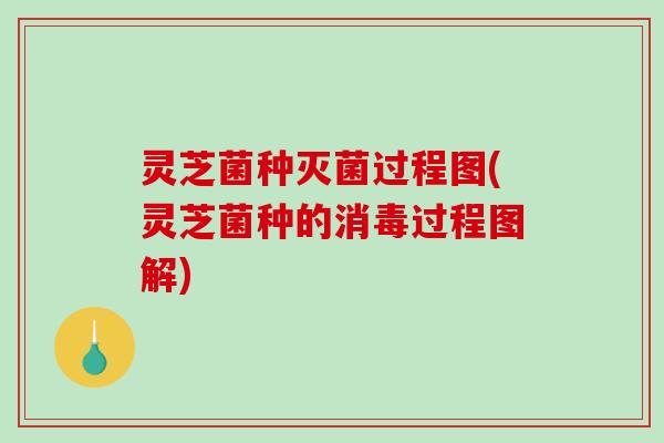 灵芝菌种灭菌过程图(灵芝菌种的消毒过程图解)