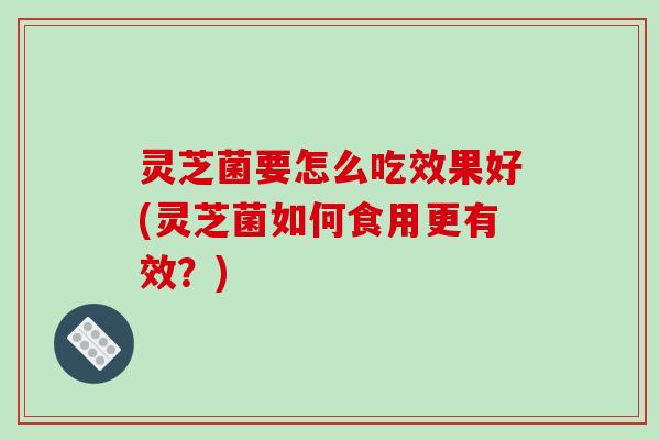 灵芝菌要怎么吃效果好(灵芝菌如何食用更有效？)
