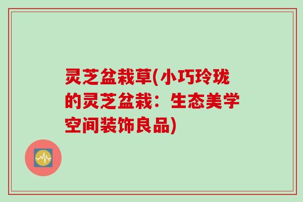 灵芝盆栽草(小巧玲珑的灵芝盆栽：生态美学空间装饰良品)