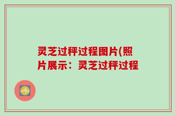 灵芝过秤过程图片(照片展示：灵芝过秤过程