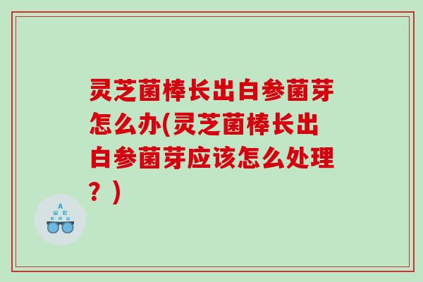 灵芝菌棒长出白参菌芽怎么办(灵芝菌棒长出白参菌芽应该怎么处理？)