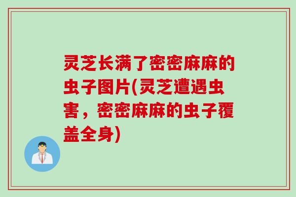 灵芝长满了密密麻麻的虫子图片(灵芝遭遇虫害，密密麻麻的虫子覆盖全身)