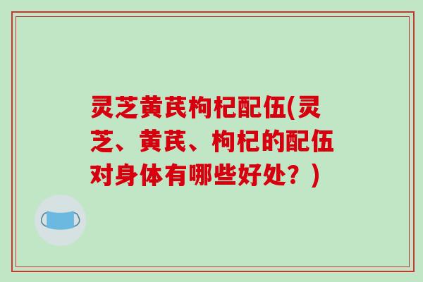 灵芝黄芪枸杞配伍(灵芝、黄芪、枸杞的配伍对身体有哪些好处？)