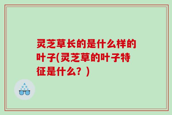 灵芝草长的是什么样的叶子(灵芝草的叶子特征是什么？)