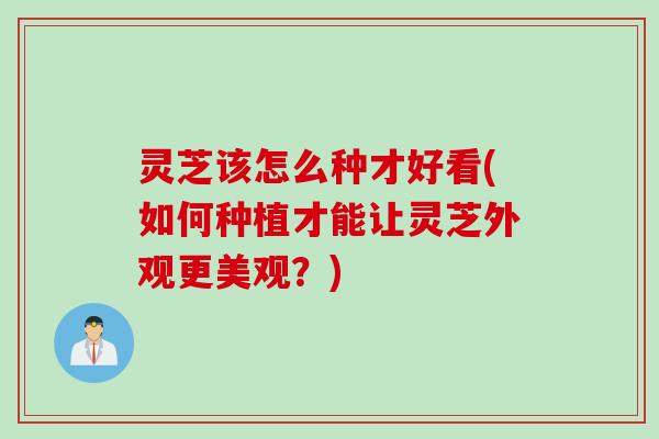灵芝该怎么种才好看(如何种植才能让灵芝外观更美观？)