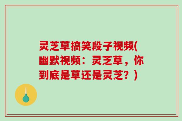 灵芝草搞笑段子视频(幽默视频：灵芝草，你到底是草还是灵芝？)