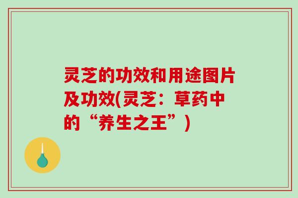 灵芝的功效和用途图片及功效(灵芝：草药中的“养生之王”)