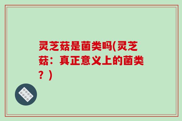灵芝菇是菌类吗(灵芝菇：真正意义上的菌类？)