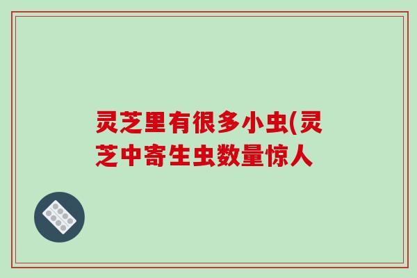 灵芝里有很多小虫(灵芝中寄生虫数量惊人 灵芝里有很多小虫(灵芝中寄生虫数量惊人