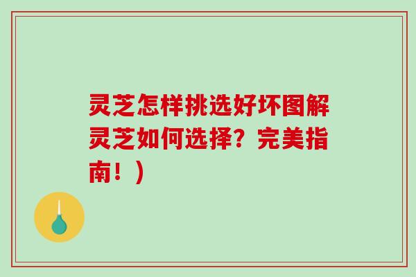 灵芝怎样挑选好坏图解灵芝如何选择？完美指南！)