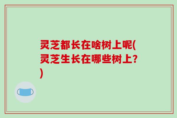 灵芝都长在啥树上呢(灵芝生长在哪些树上？)