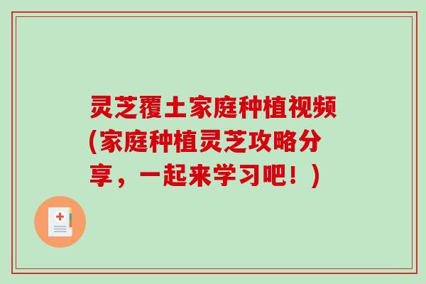 灵芝覆土家庭种植视频(家庭种植灵芝攻略分享，一起来学习吧！)