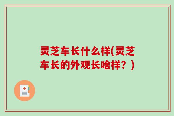 灵芝车长什么样(灵芝车长的外观长啥样？)