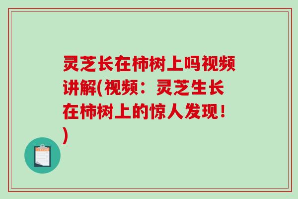 灵芝长在柿树上吗视频讲解(视频：灵芝生长在柿树上的惊人发现！)