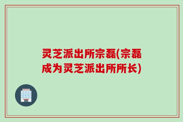灵芝派出所宗磊(宗磊成为灵芝派出所所长)