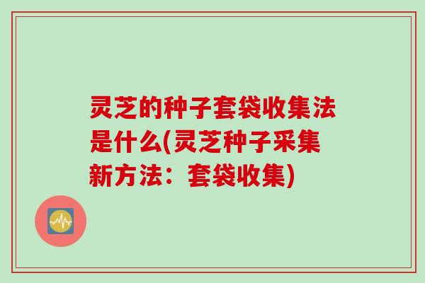 灵芝的种子套袋收集法是什么(灵芝种子采集新方法：套袋收集)