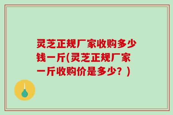 灵芝正规厂家收购多少钱一斤(灵芝正规厂家一斤收购价是多少？)