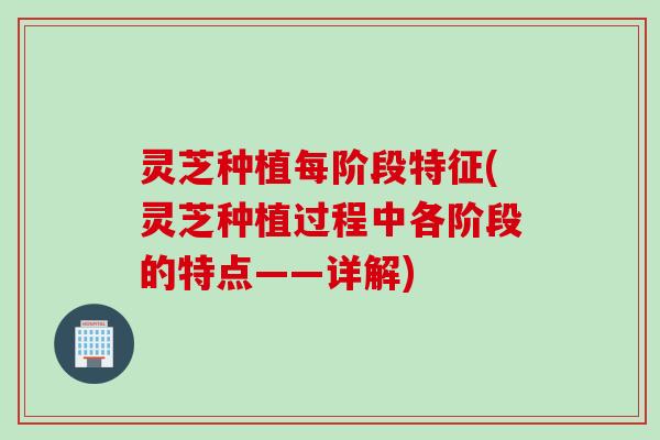 灵芝种植每阶段特征(灵芝种植过程中各阶段的特点——详解)