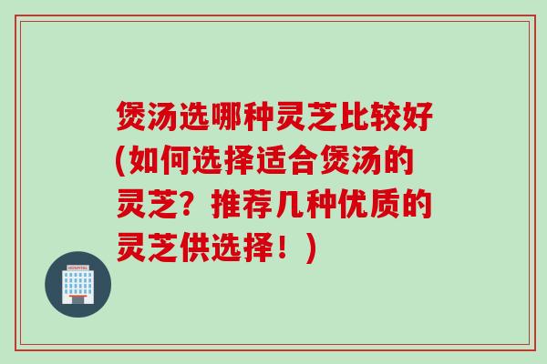 煲汤选哪种灵芝比较好(如何选择适合煲汤的灵芝？推荐几种优质的灵芝供选择！)