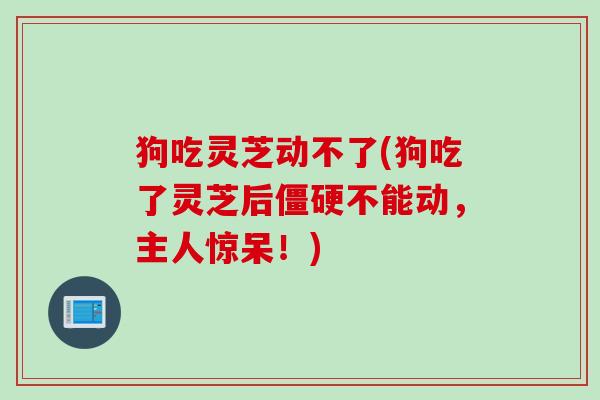 狗吃灵芝动不了(狗吃了灵芝后僵硬不能动,主人惊呆!) 狗吃灵芝动不了(狗吃了灵芝后僵硬不能动,主人惊呆!)