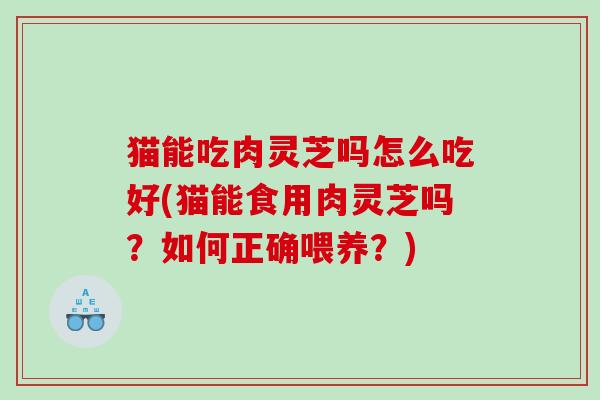 猫能吃肉灵芝吗怎么吃好(猫能食用肉灵芝吗？如何正确喂养？)