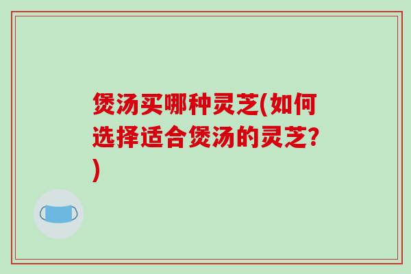 煲汤买哪种灵芝(如何选择适合煲汤的灵芝？)