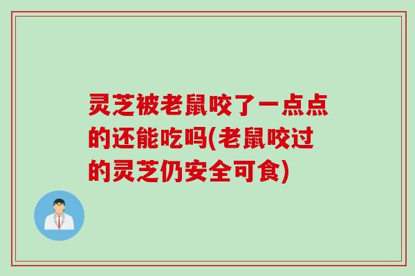 灵芝被老鼠咬了一点点的还能吃吗(老鼠咬过的灵芝仍安全可食) 灵芝被老鼠咬了一点点的还能吃吗(老鼠咬过的灵芝仍安全可食)